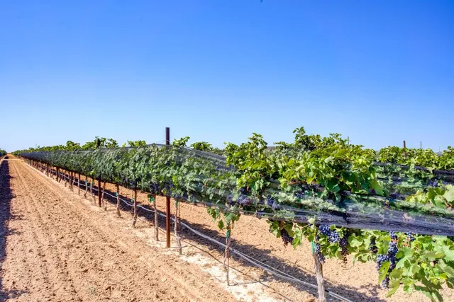 $924,900 | 574 FM 1317, Tahoka, TX 79373