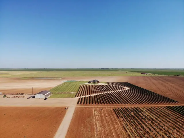 $924,900 | 574 FM 1317, Tahoka, TX 79373