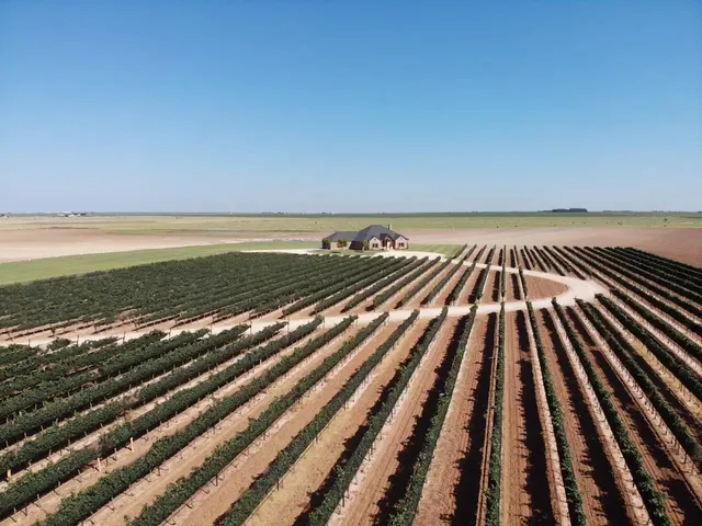 $924,900 | 574 FM 1317, Tahoka, TX 79373