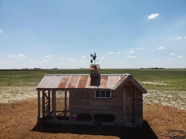 $924,900 | 574 FM 1317, Tahoka, TX 79373