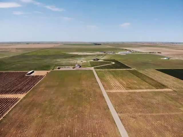 $924,900 | 574 FM 1317, Tahoka, TX 79373