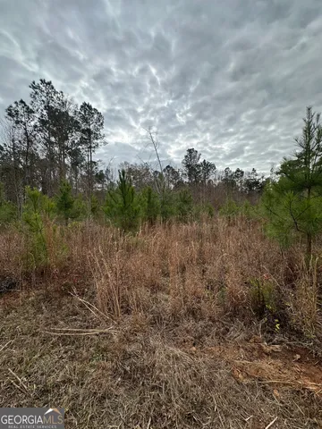 a view of bathroom with small trees