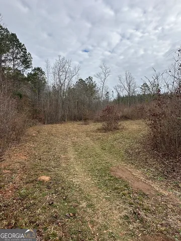 a view of a yard with large trees