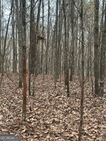 a view of a yard with trees in the background