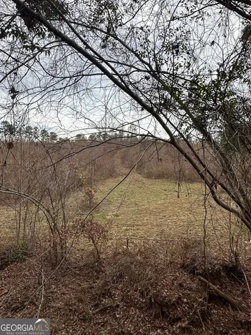 a yard with large tree