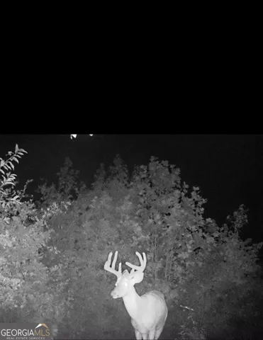 a view of a chairs and table in the patio