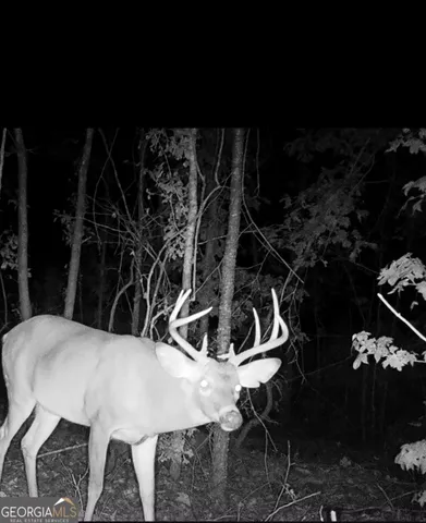 a close view of a toilet in the bathroom