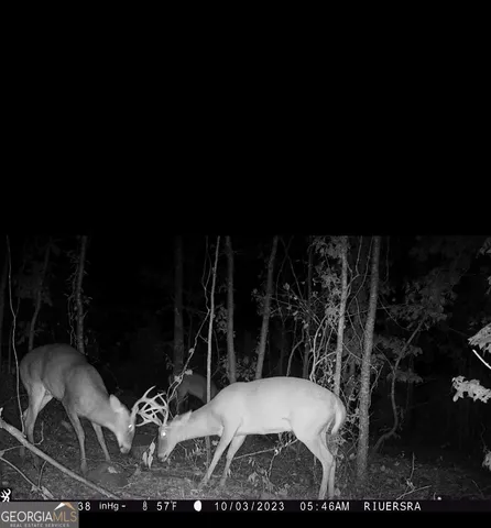 a view of a chairs and table in the patio