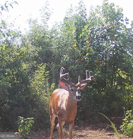 $170,000 | 0 Pleasant Grove Road, Yatesville, GA 31097