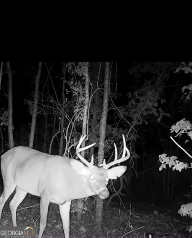 $170,000 | 0 Pleasant Grove Road, Yatesville, GA 31097