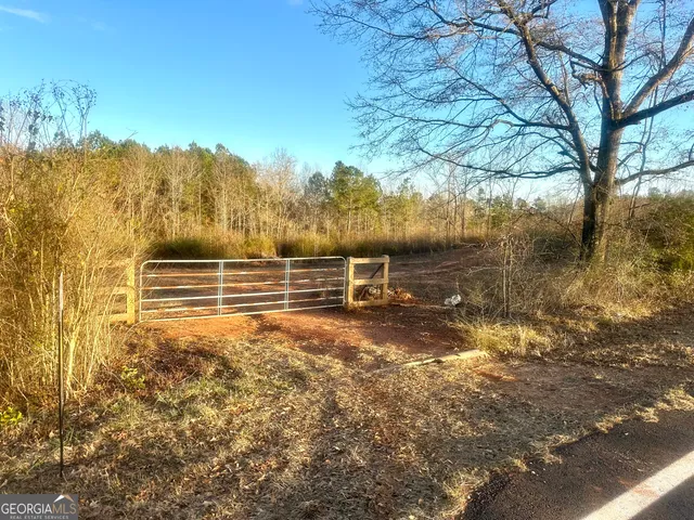 a view of backyard with green space