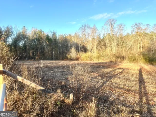 a view of a yard with a tree