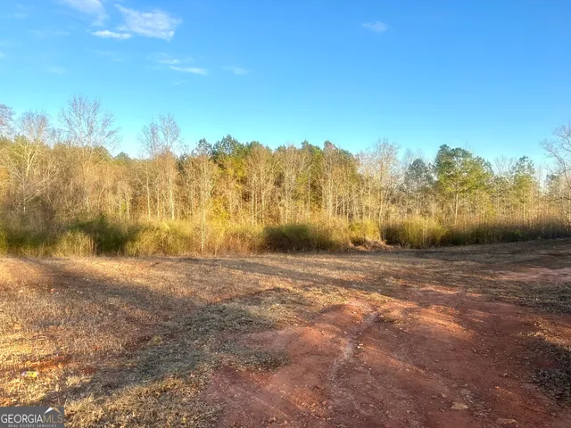 a view of a yard with an tree