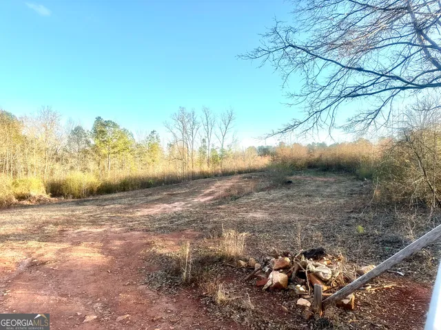 a view of a street with a yard and trees