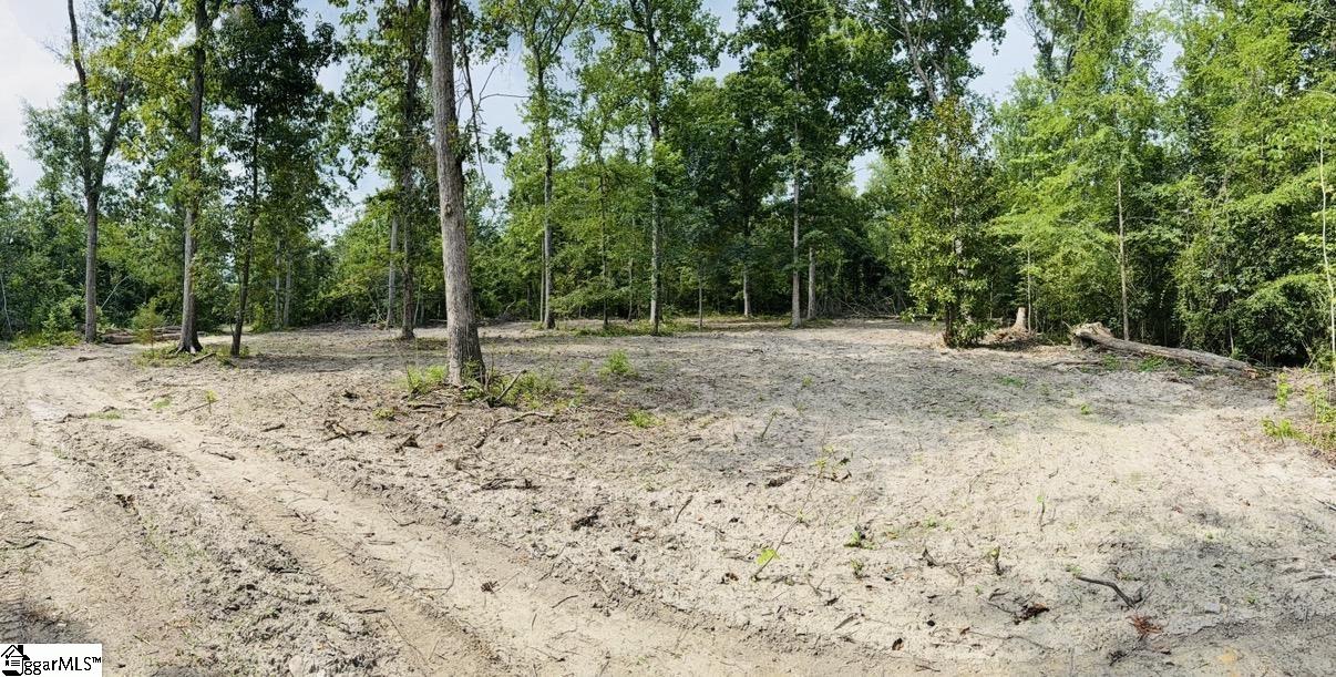 0 Lee Street Johnston, SC 29832 - Photo 13 of 21