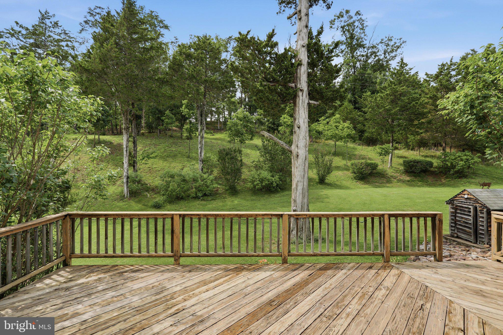 6223 Fort Valley Road Fort Valley, VA 22652 - Photo 6 of 51