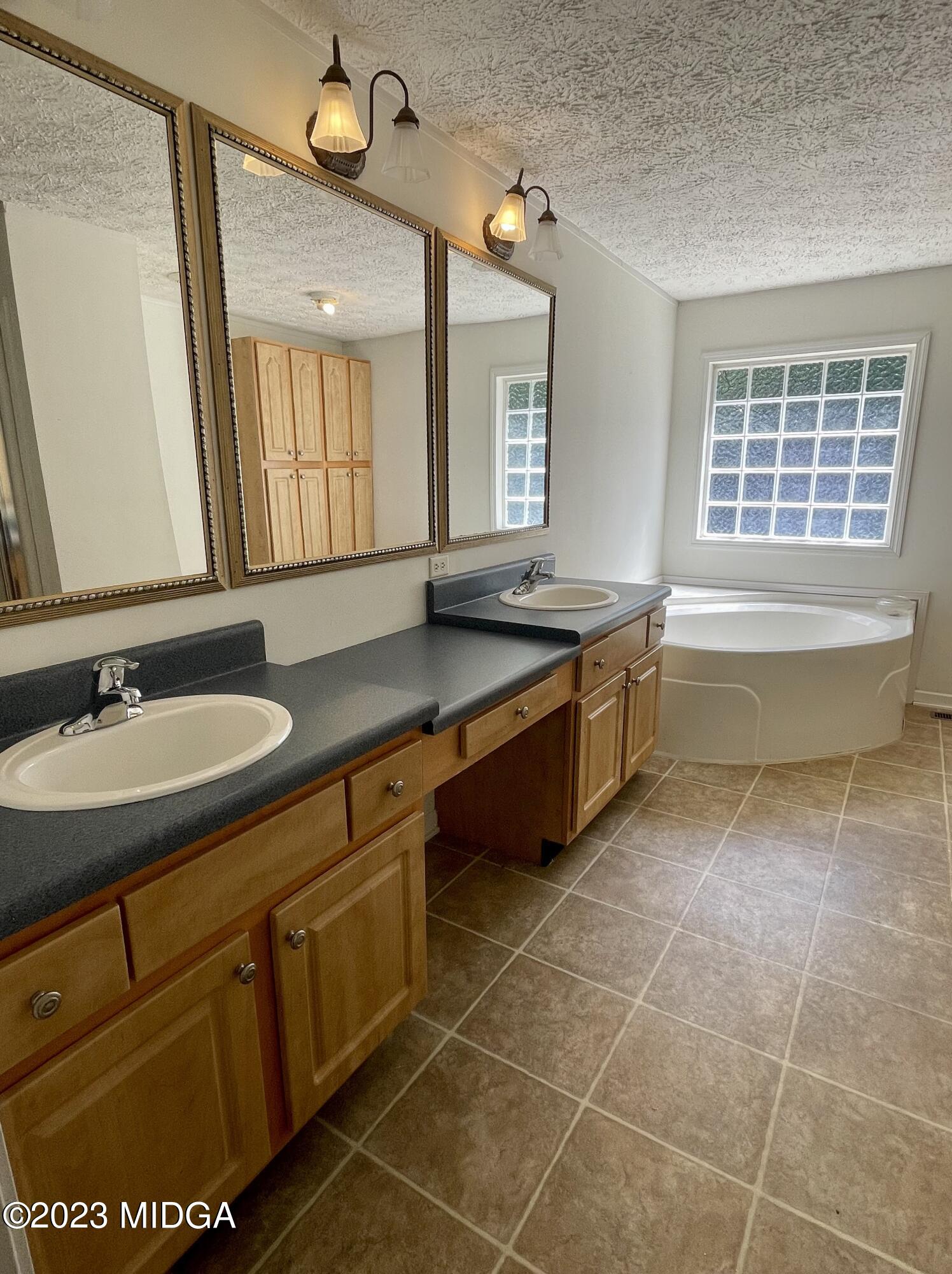 1222 Lassiter Road Forsyth, GA 31029 - Photo 4 of 6 a spacious bathroom with a granite countertop sink and a bathtub