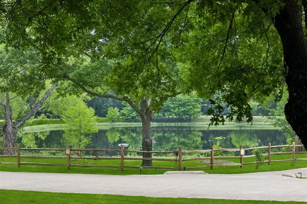 a view of a park