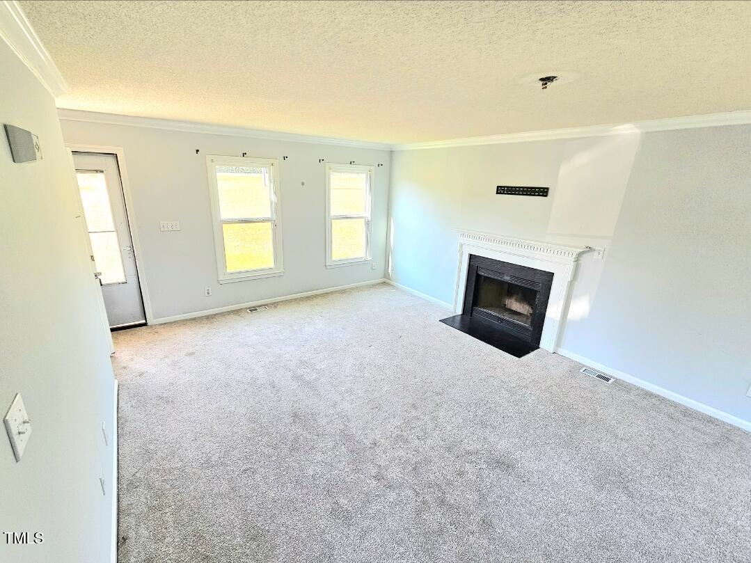 250 Pope Lake Road Angier, NC 27501 - Photo 3 of 8 a view of empty room with a fireplace