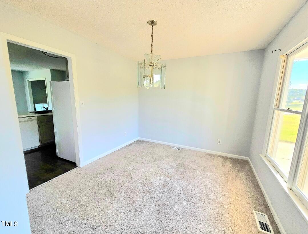 250 Pope Lake Road Angier, NC 27501 - Photo 4 of 8