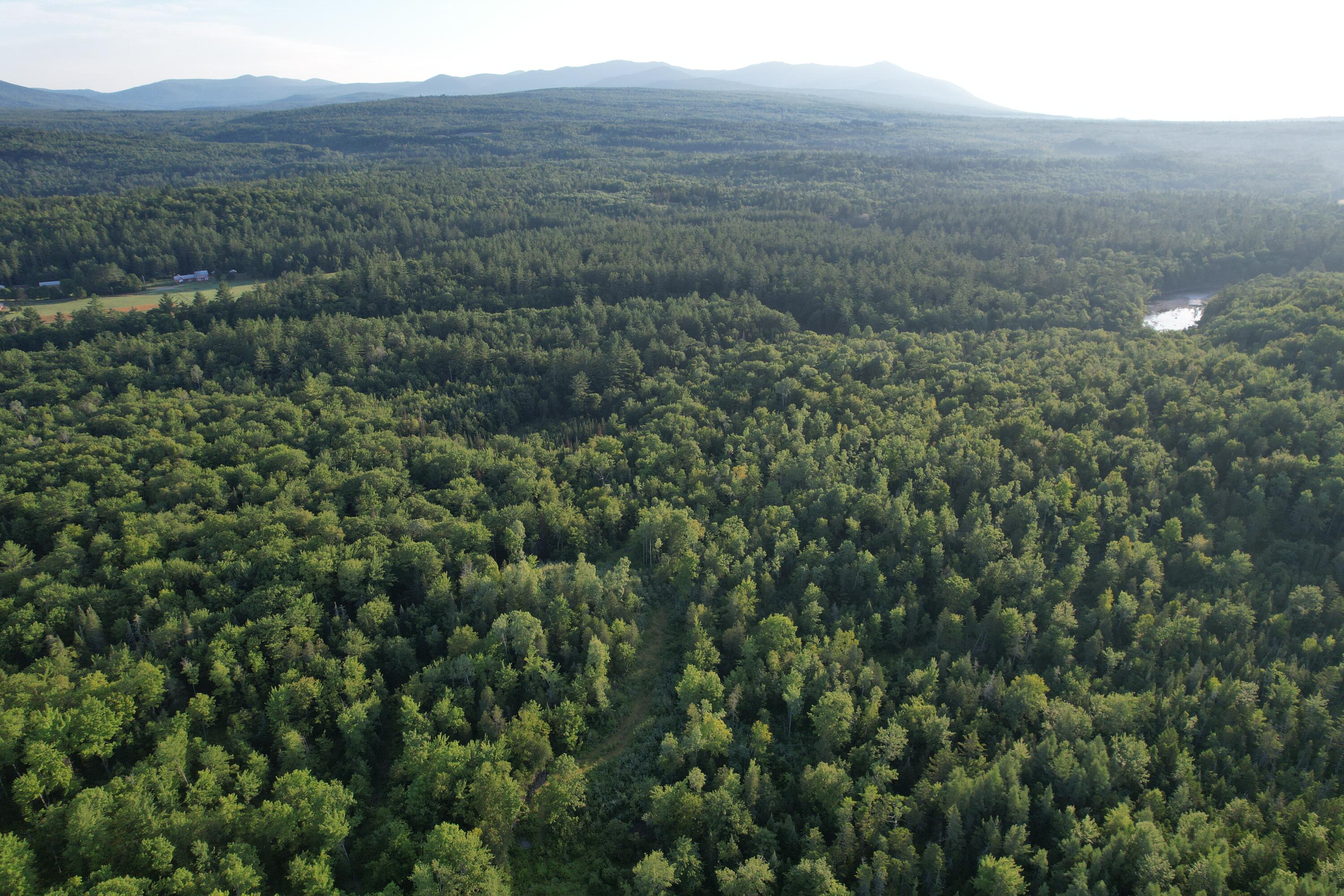 Lot #4 Woods Road Phillips, ME 04966 - Photo 19 of 27
