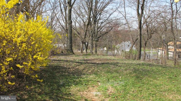 8004 Ridgely Oak Road Parkville, MD 21234 - Photo 2 of 14 Back yard