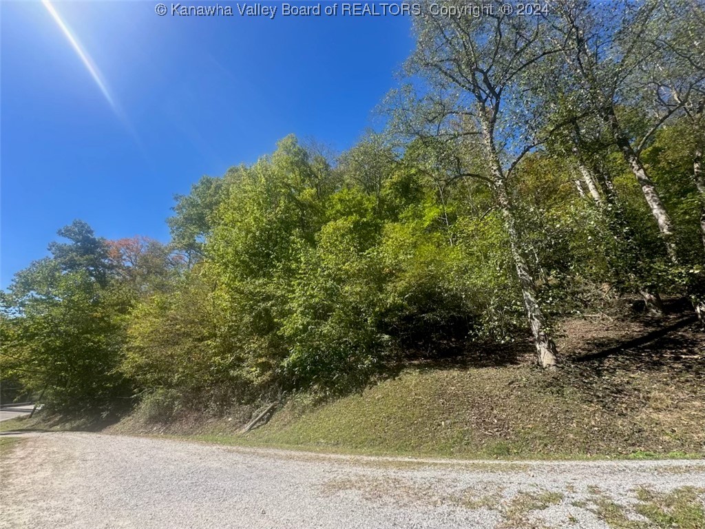 Tbd Short Creek Road Racine, WV 25165 - Photo 1 of 7 Gallery Image 1