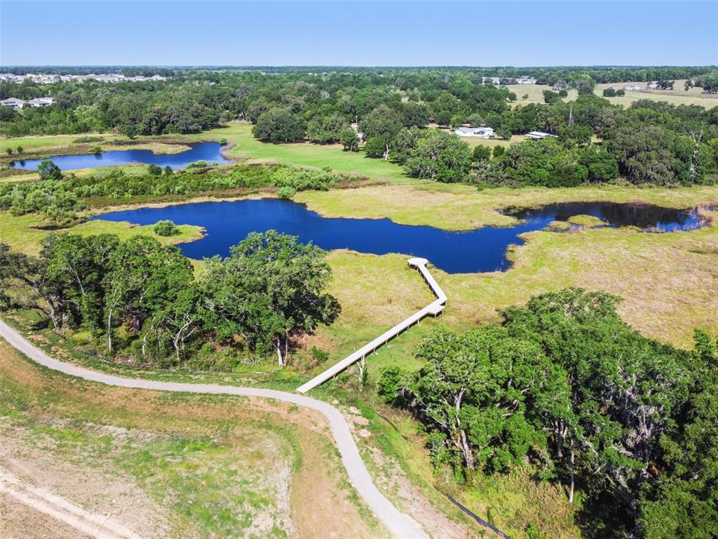 36390 Wl Hl Way Zephyrhills, FL 33541 - Photo 57 of 77