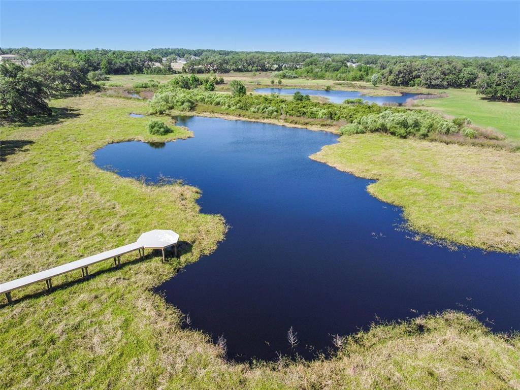 36390 Wl Hl Way Zephyrhills, FL 33541 - Photo 58 of 77 a view of a lake with a mountain