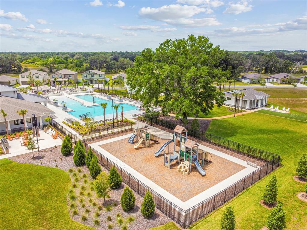 36390 Wl Hl Way Zephyrhills, FL 33541 - Photo 64 of 77 a view of a swimming pool with a yard