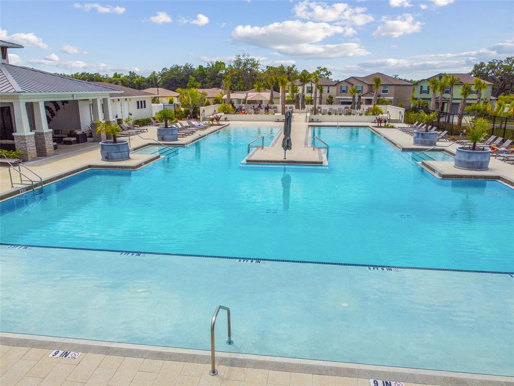 36390 Wl Hl Way Zephyrhills, FL 33541 - Photo 68 of 77 a view of a swimming pool