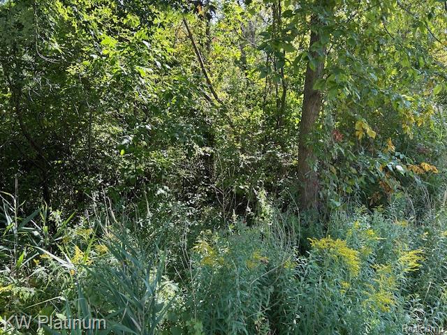 V/l Allen Road Smiths Creek, MI 48074 - Photo 3 of 5