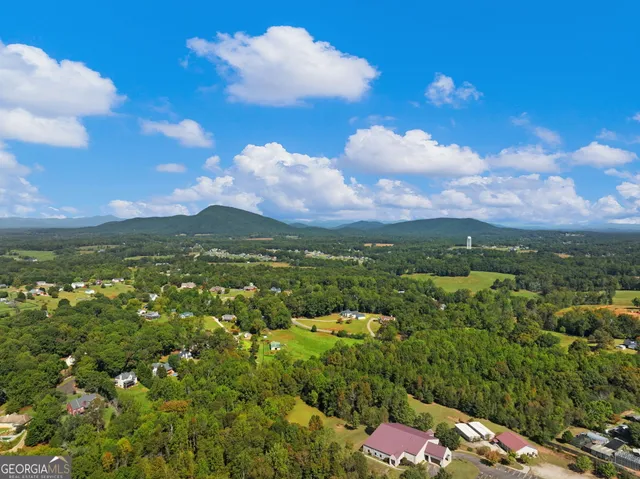 a view of a bunch of trees in the background