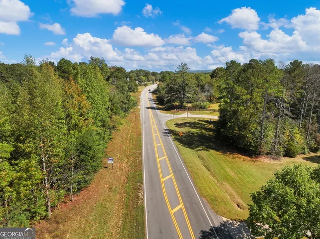 a view of a forest with a tree