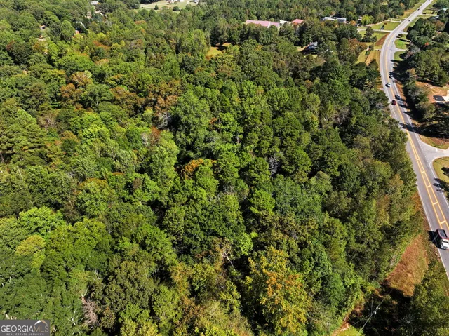 a view of a lot of trees in front of house