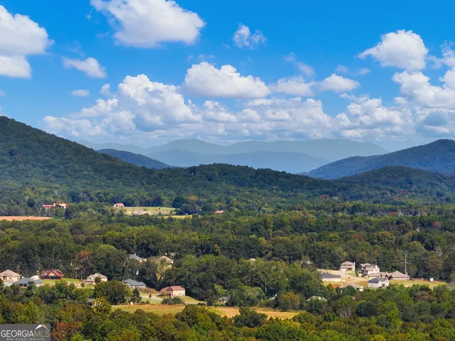 a view of a swimming pool and a yard
