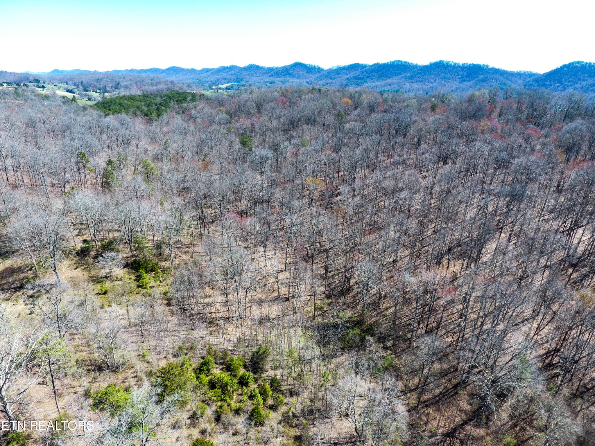 1 Mill Pond Hollow Road Maynardville, TN 37807 - Photo 7 of 14 Gallery Image 7