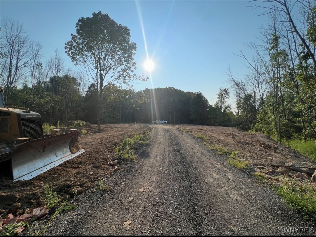 Dickersonville Road West Ransomville, NY 14131 - Photo 2 of 8