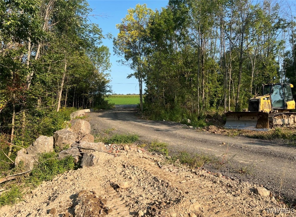 Dickersonville Road West Ransomville, NY 14131 - Photo 3 of 8