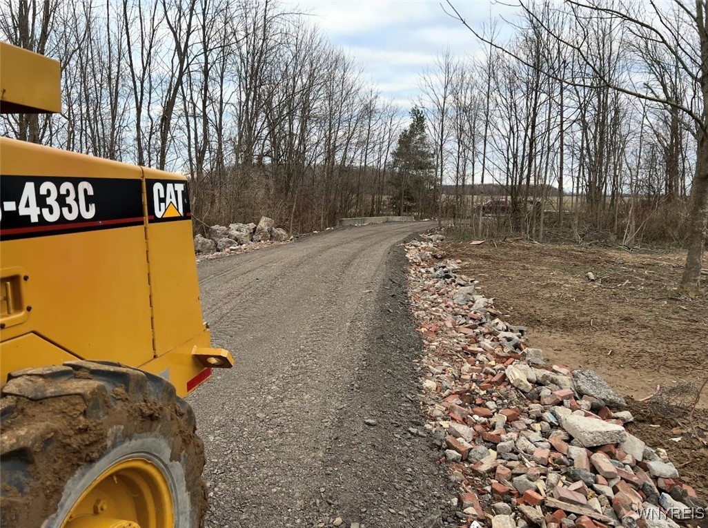 Dickersonville Road West Ransomville, NY 14131 - Photo 4 of 8