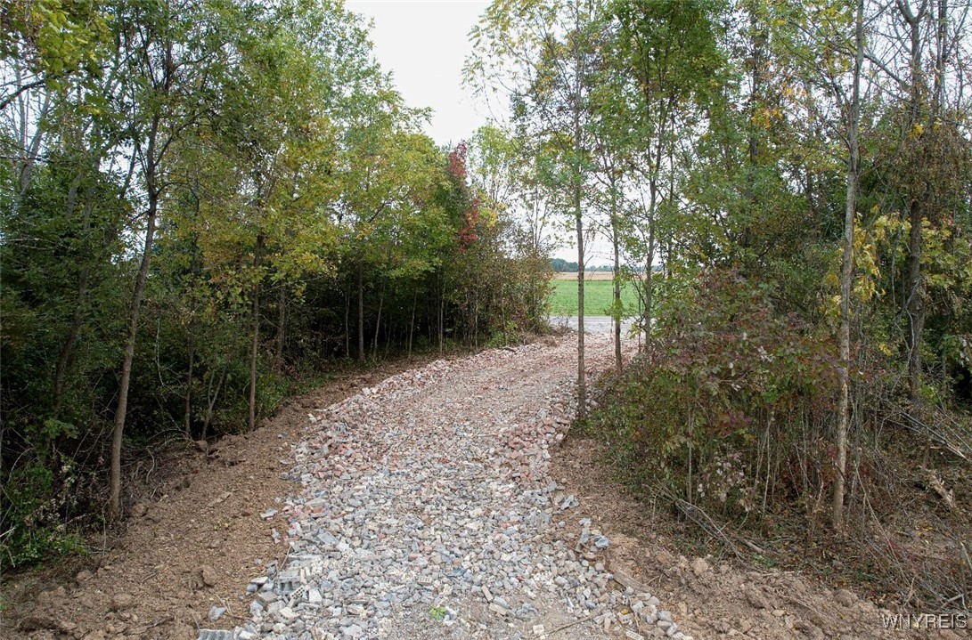 Dickersonville Road West Ransomville, NY 14131 - Photo 5 of 8