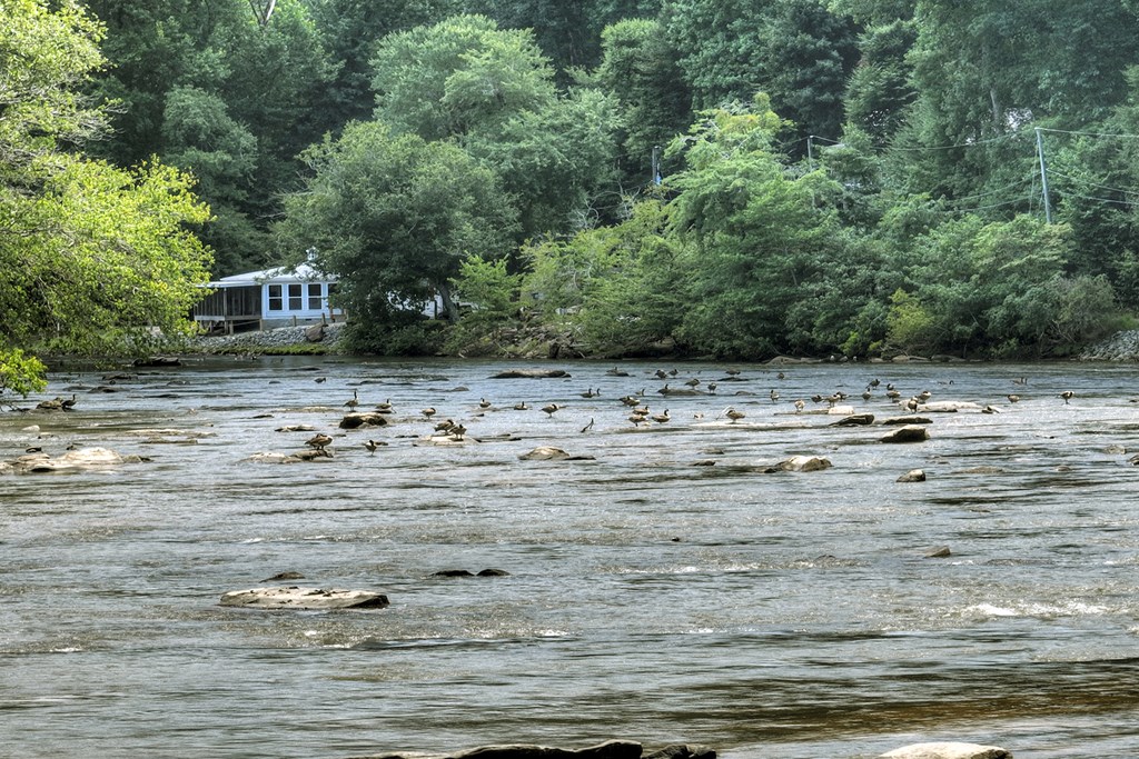 53 Addle Trail Ellijay, GA 30540 - Photo 20 of 50 a view of a lake view