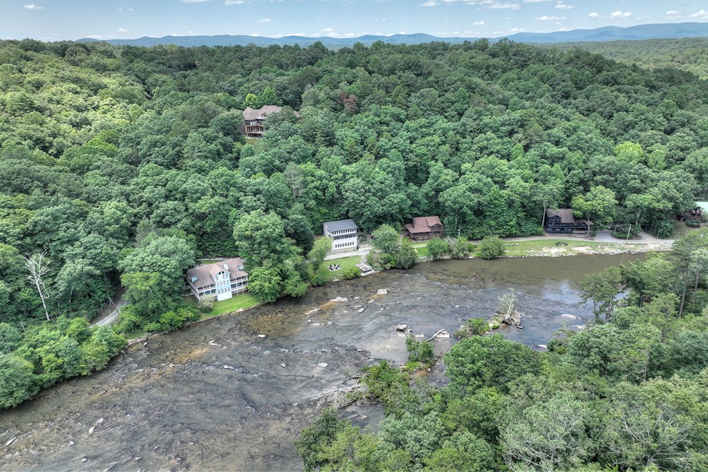 53 Addle Trail Ellijay, GA 30540 - Photo 43 of 50 a view of a forest with a street