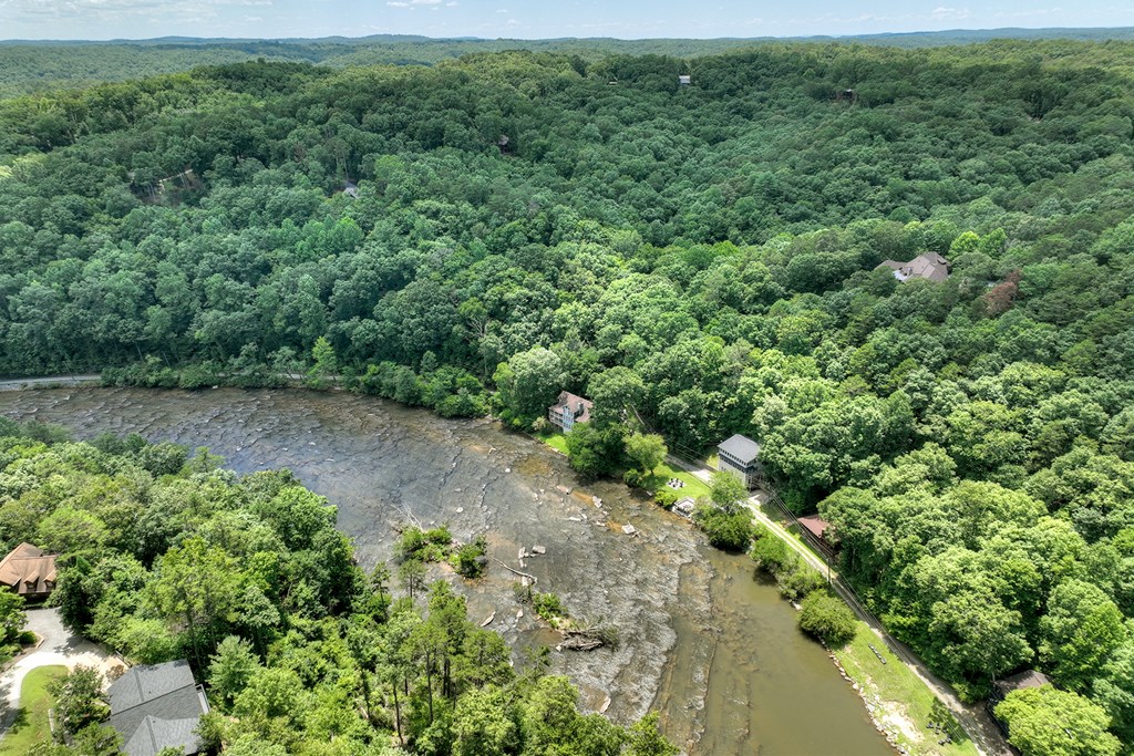 53 Addle Trail Ellijay, GA 30540 - Photo 45 of 50 a view of a garden with a plant