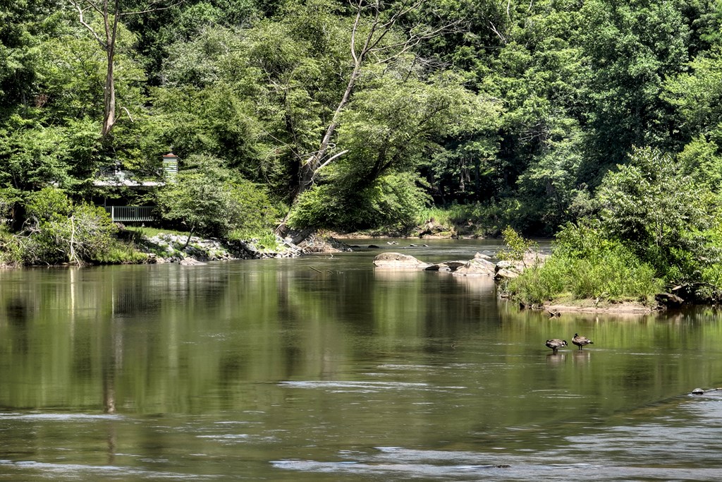 53 Addle Trail Ellijay, GA 30540 - Photo 49 of 50 a view of a lake view