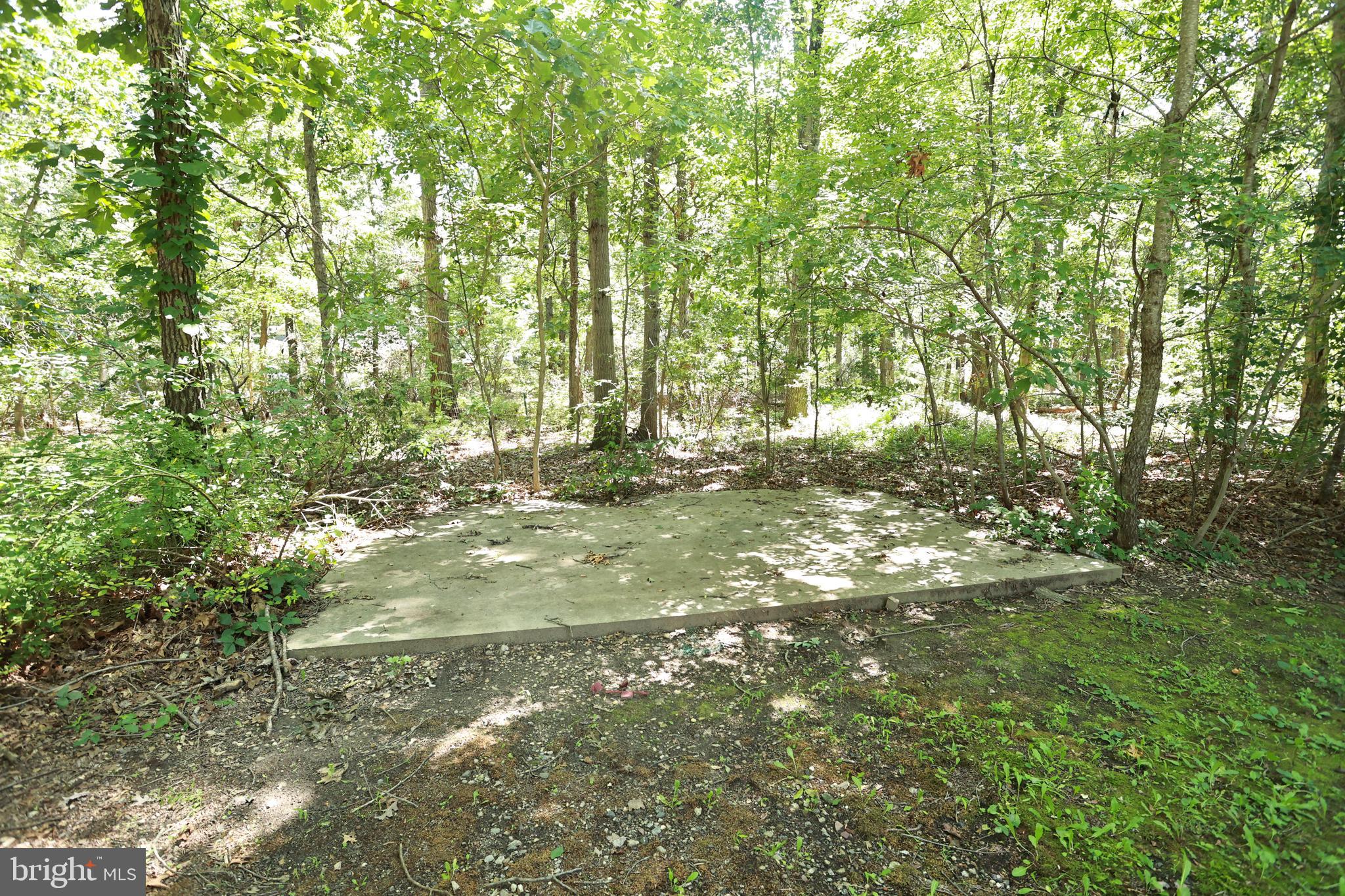 453 Langley Road Pittsgrove, NJ 08318 - Photo 51 of 140