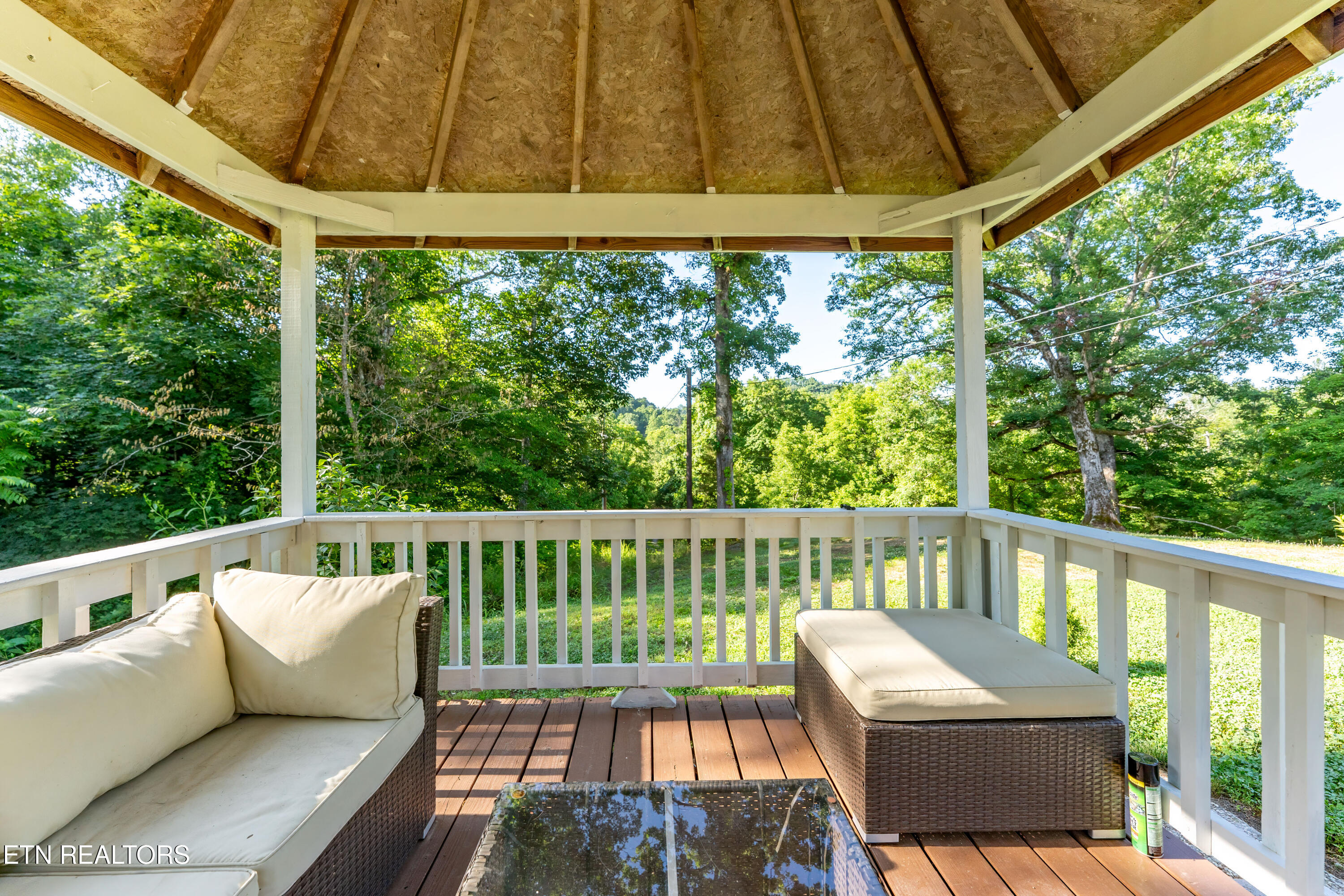 409 Bull Run Road Luttrell, TN 37779 - Photo 33 of 40 _DSC4508-Edit
