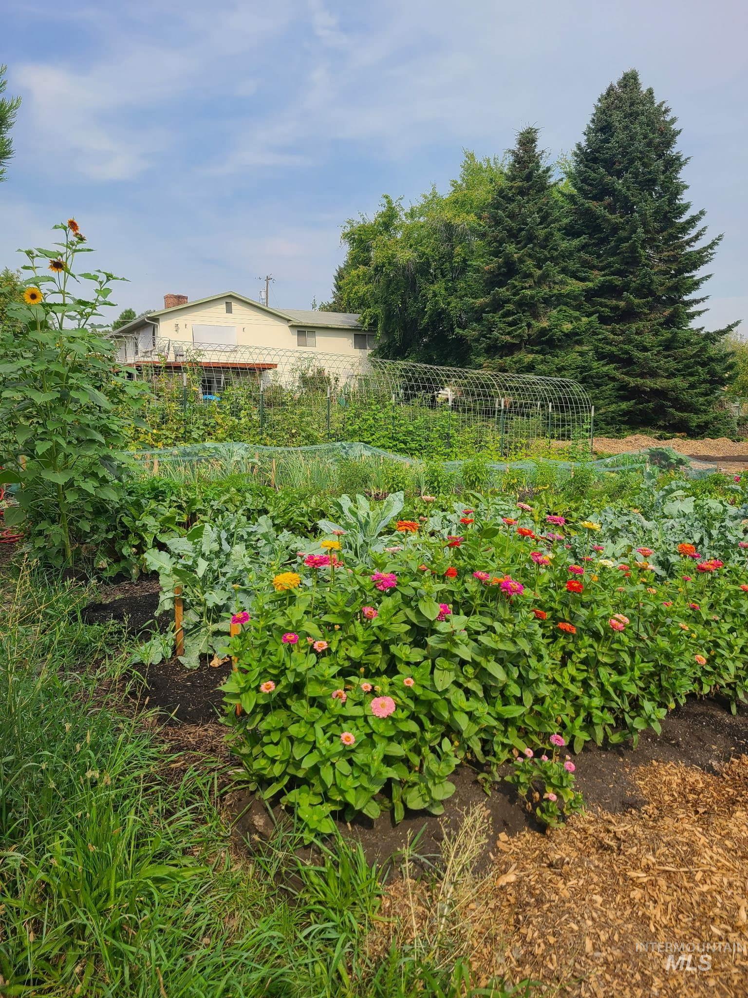 0 Barr Road Lewiston, ID 83501 - Photo 11 of 11 View of yard with a vegetable garden
