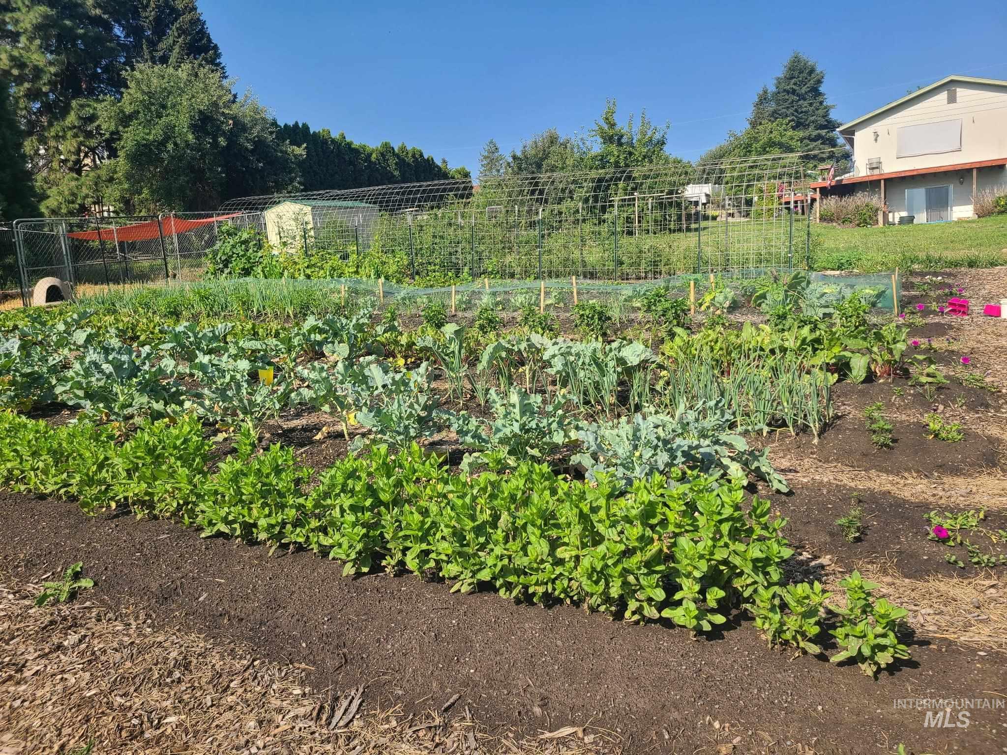 0 Barr Road Lewiston, ID 83501 - Photo 7 of 11 View of yard with a garden