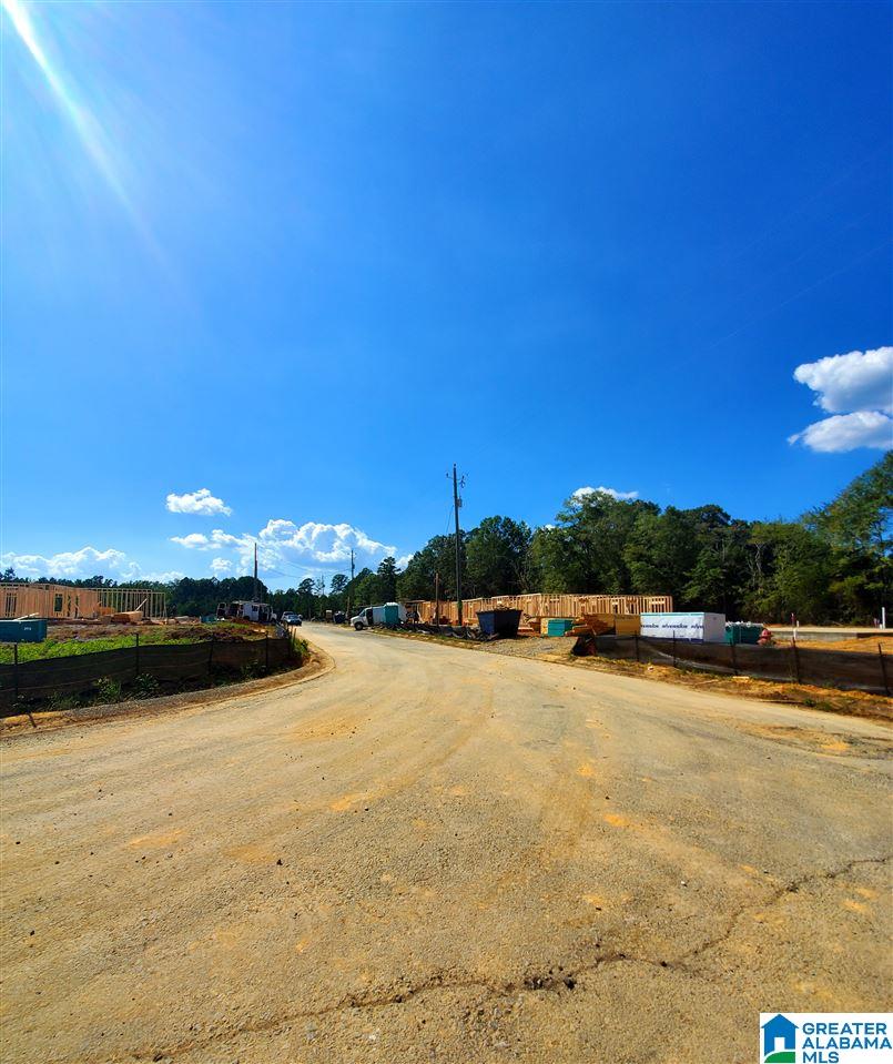 46 Hawk Lane Sylacauga, AL 35150 - Photo 7 of 10